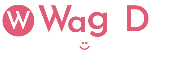 wag2d'sダンススタジオ